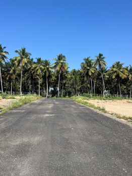  Residential Plot for Sale in Periya Negamam, Coimbatore