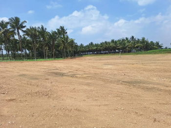  Residential Plot for Sale in Chettipalayam, Coimbatore