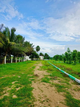  Residential Plot for Sale in Kinathukadavu, Coimbatore