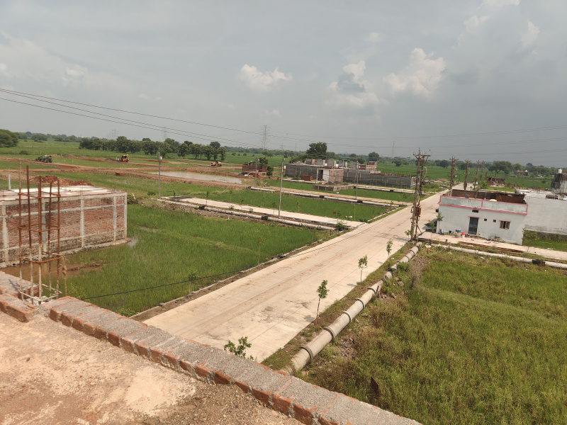  Residential Plot 1200 Sq.ft. for Sale in Patan, Jabalpur