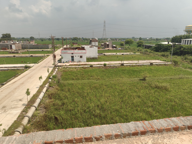  Residential Plot 1200 Sq.ft. for Sale in Patan, Jabalpur
