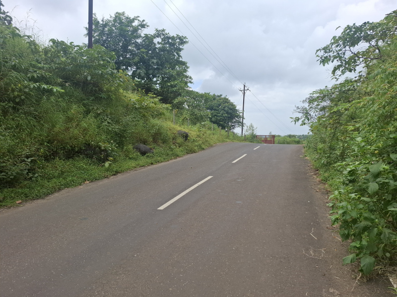 7 Acre Agricultural/Farm Land for Sale in Mahim Road, Palghar