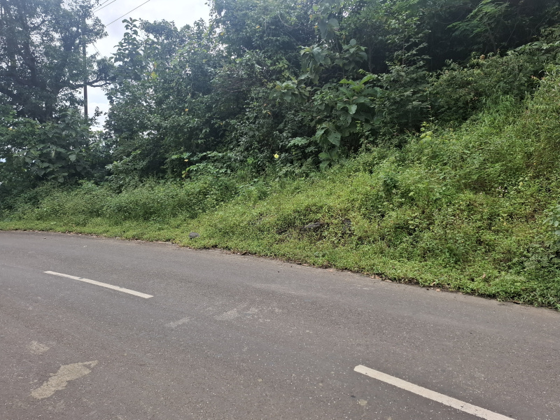7 Acre Agricultural/Farm Land for Sale in Mahim Road, Palghar