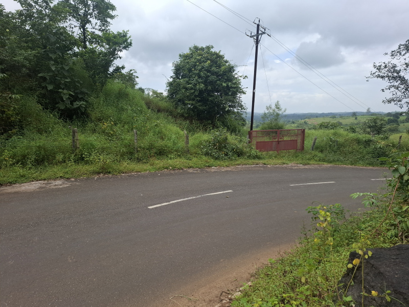 7 Acre Agricultural/Farm Land for Sale in Mahim Road, Palghar