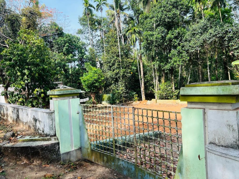  Residential Plot 18 Cent for Sale in Piravom, Ernakulam