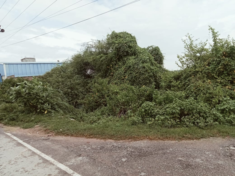 100 Acre Residential Plot for Sale in Panvel, Navi Mumbai