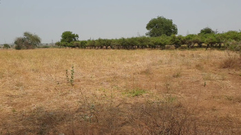  Agricultural Land for Sale in Sindhnur, Raichur