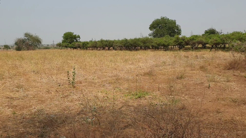  Agricultural Land 3 Acre for Sale in Sindhnur, Raichur