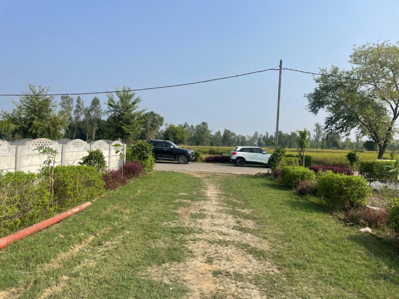  Residential Plot 800 Sq.ft. for Sale in Sultanpur Road, Lucknow