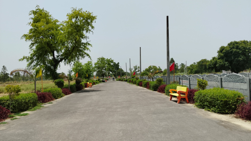  Residential Plot 1000 Sq.ft. for Sale in Sultanpur Road, Lucknow