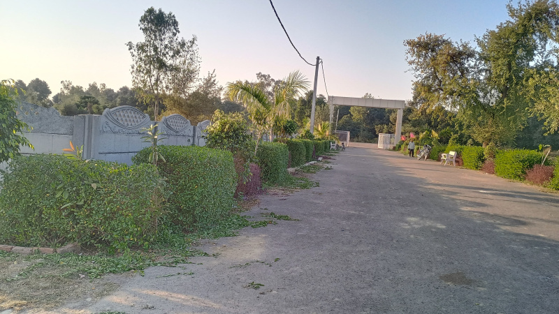  Residential Plot 1200 Sq.ft. for Sale in Sultanpur Road, Lucknow