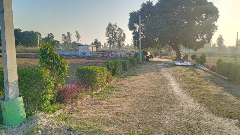  Residential Plot 2000 Sq.ft. for Sale in Sultanpur Road, Lucknow