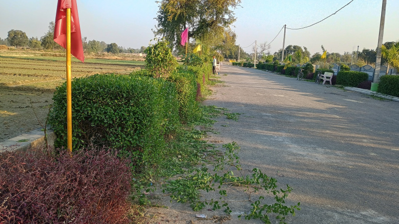  Residential Plot 2400 Sq.ft. for Sale in Sultanpur Road, Lucknow