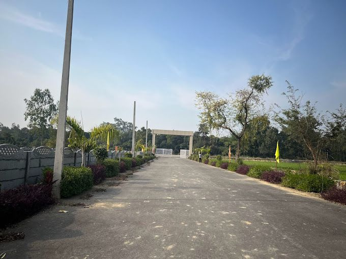  Residential Plot 800 Sq.ft. for Sale in Gosaiganj, Lucknow