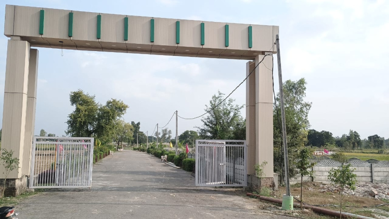  Residential Plot 1500 Sq.ft. for Sale in Gosaiganj, Lucknow