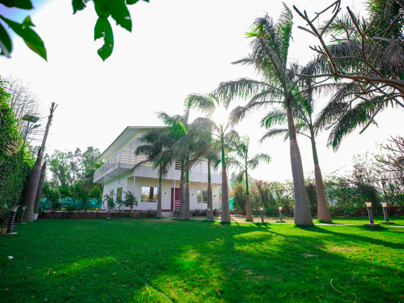 Agricultural Land 1 Bigha for Rent in Sector 135 Noida