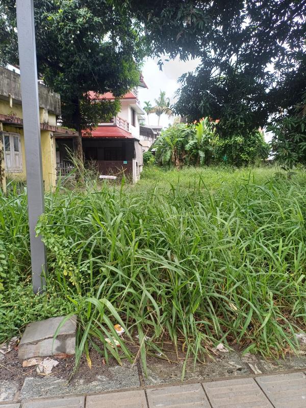  Residential Plot 3066 Sq.ft. for Sale in Kadavanthra, Kochi