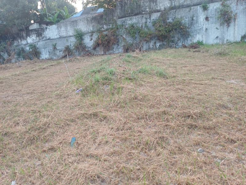  10 Cent Residential Plot for Sale in Palarivattom, Ernakulam