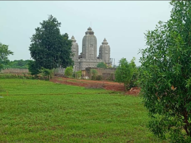  Residential Plot 1200 Sq.ft. for Sale in Sejbahar, Raipur