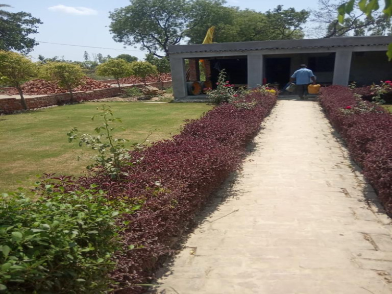  Residential Plot 1000 Sq.ft. for Sale in Sultanpur Road, Lucknow