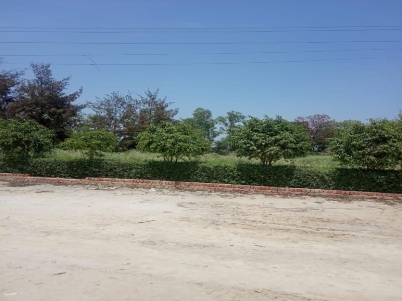  Residential Plot 1000 Sq.ft. for Sale in Sultanpur Road, Lucknow