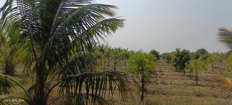  182 Sq. Yards Residential Plot for Sale in Nagarjuna Sagar Highway, Hyderabad