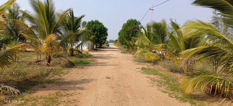  182 Sq. Yards Residential Plot for Sale in Nagarjuna Sagar Highway, Hyderabad