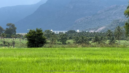  Agricultural Land 87120 Sq.ft. for Sale in Udumalaipettai, Tirupur