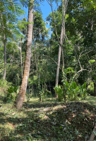  Residential Plot for Sale in Manjeri, Malappuram