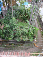  Residential Plot for Sale in Subhas Pally, Burdwan, Kolkata