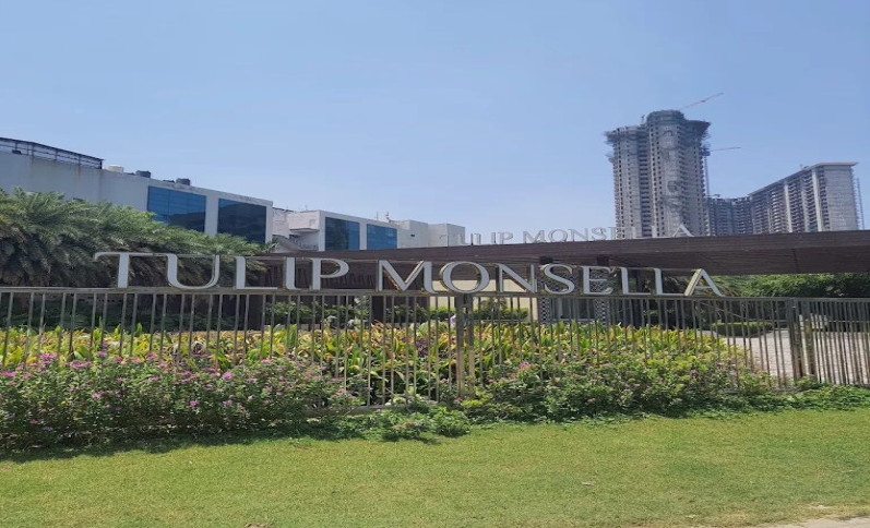 3 BHK 2200 Sq.ft. Apartment for Sale in Sector 53 Gurgaon