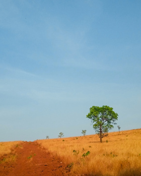  Agricultural Land for Sale in Murud, Raigad