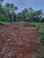  Commercial Land for Sale in Vizhinjam, Thiruvananthapuram