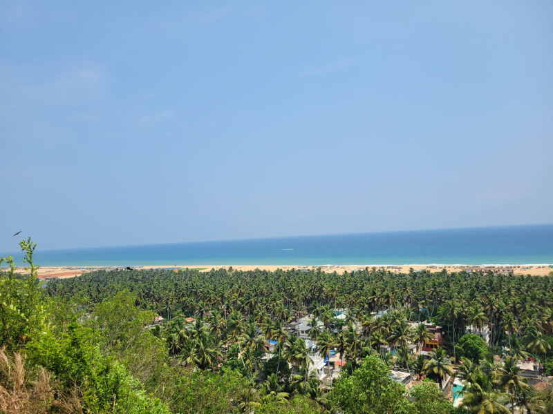  Commercial Land 3 Acre for Sale in Vizhinjam, Thiruvananthapuram