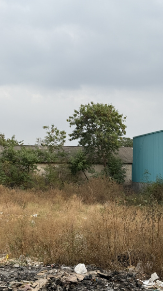  Commercial Land 9000 Sq.ft. for Sale in Wagholi, Pune