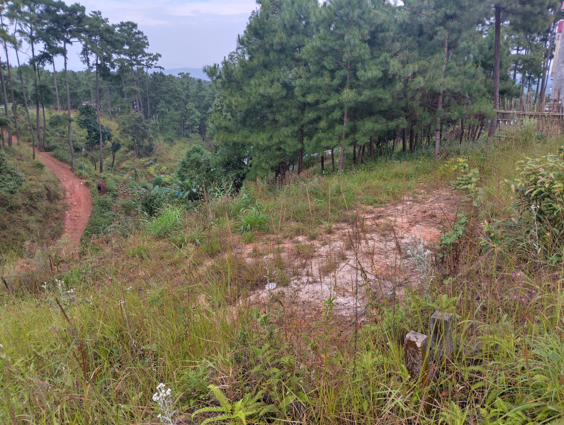  Residential Plot 3300 Sq.ft. for Sale in Mawlai, Shillong