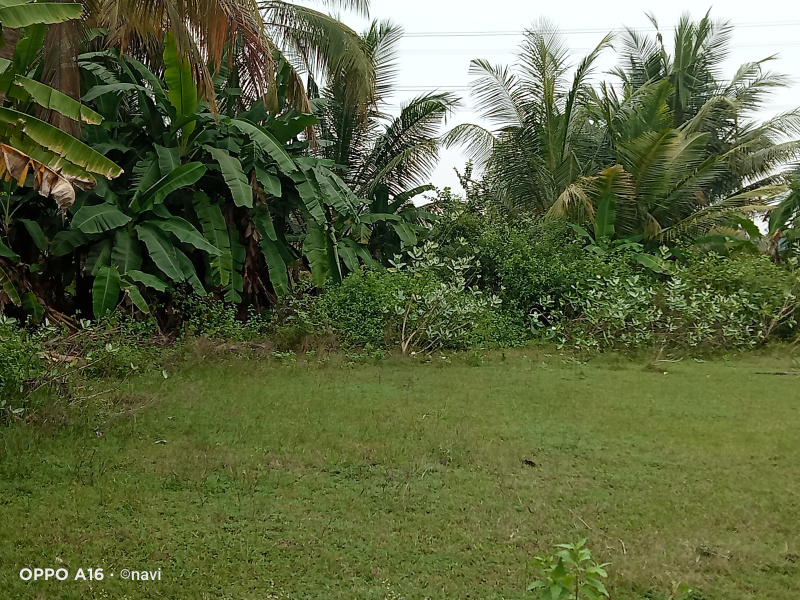  Agricultural Land 40 Cent for Sale in Nasiyanur, Erode