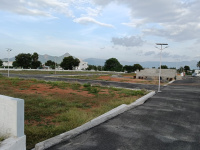Residential Plot for Sale in Kalangani, Namakkal