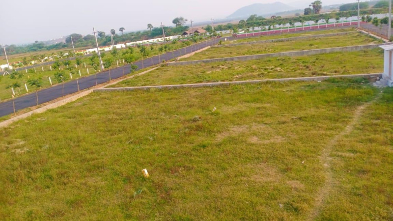  Residential Plot 189 Sq. Meter for Sale in Sanghivalasa, Visakhapatnam