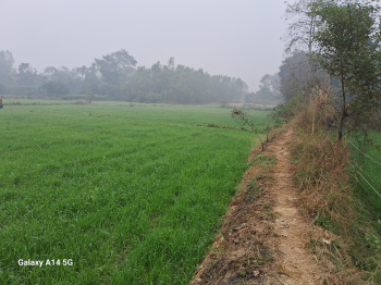  Agricultural Land for Sale in Qaziyara, Sitapur