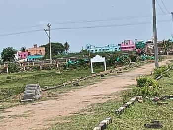  Residential Plot for Sale in Maduranthakam, Chengalpattu