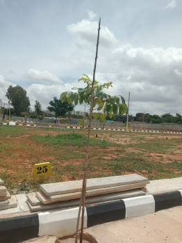  Residential Plot for Sale in Yelahanka, Bangalore