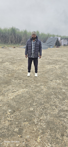  20 Bigha Agricultural/Farm Land for Sale in Bhagwanpur, Haridwar