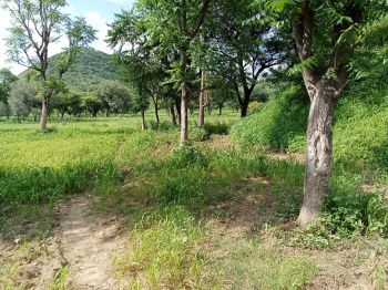  Agricultural Land for Sale in Delhi Road, Jaipur
