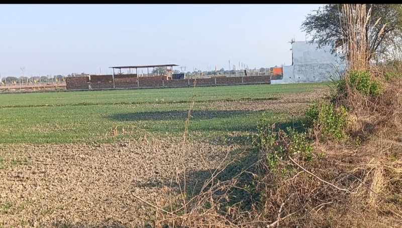  Agricultural Land 18 Bigha for Sale in Goverdhan Road, Goverdhan Road, Mathura