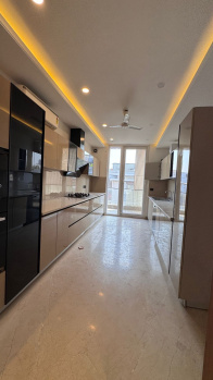 4 BHK Builder Floor for Rent in Sushant Lok Phase I, Gurgaon