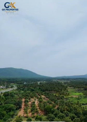 Natham, Dindigul photo 4