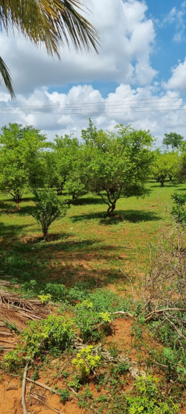  Commercial Land 50 Cent for Sale in Mandaiyur, Tiruchirappalli