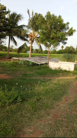  Residential Plot 11 Acre for Sale in Keeranur, Pudukkottai