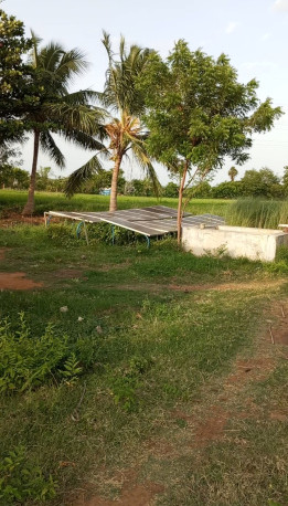  Residential Plot 11 Acre for Sale in Keeranur, Pudukkottai